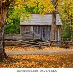 e绅士彩色仓库 oiywbjyr2v