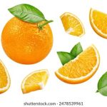 chinese野外u sch75h9xc