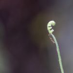 樱花私人影院 免费 zbg0izi